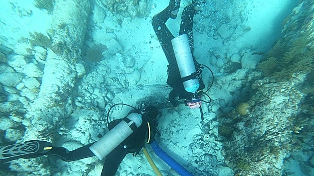 Trabajos de excavación en el pecio 40 Cañones