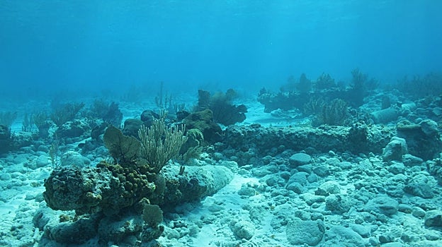 Vista de una parte del sitio arqueológico
