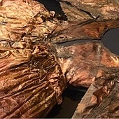 El tesoro de ricos vestidos recuperado de un naufragio del siglo XVII