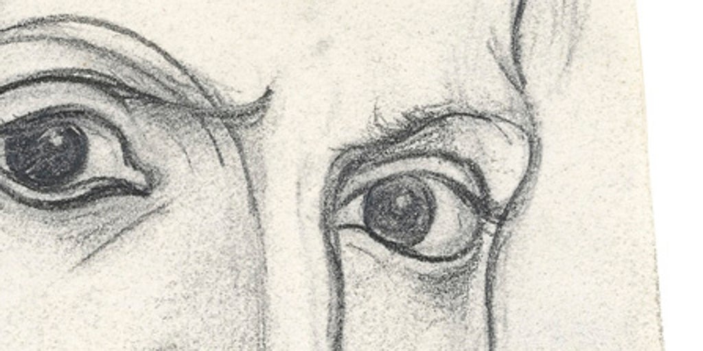 Picasso, miradas que matan