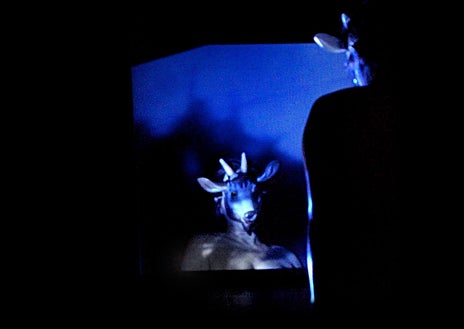 Imagen secundaria 1 - Arriba, 'Fuera de campo'. Sobre estas líneas, otras propuestas de la creadora