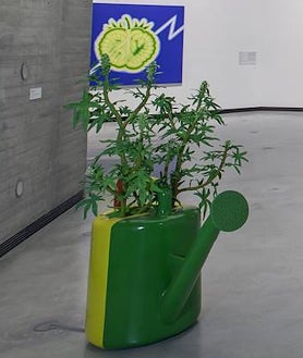 Imagen secundaria 2 - Sobre estas líneas,algunos de los proyectos de la exposición, como la regadera 'reguetonera' y el dedicado al tomaco