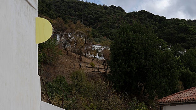 Intervención de Elvira Amor en Genalguacil