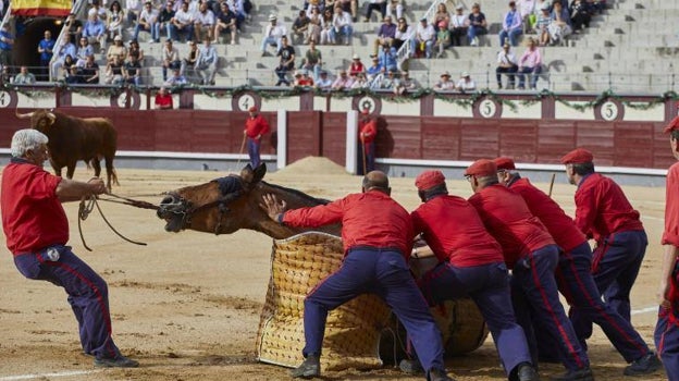 Los monosabios intentan levantar un caballo tras un derribo