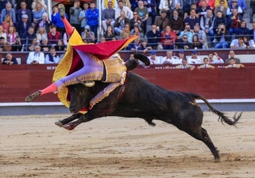 Y Juan Pedro puso orden y trajo el toro de Madrid