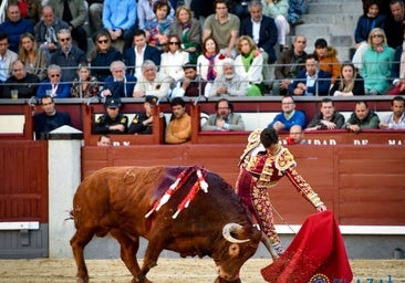 A Daniel Luque le falta toro