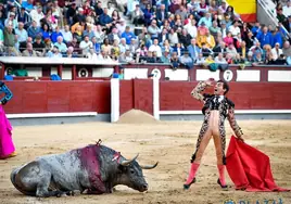 José Escolar: «Es el primer toro de mi ganadería al que le dan una vuelta al ruedo en Madrid»