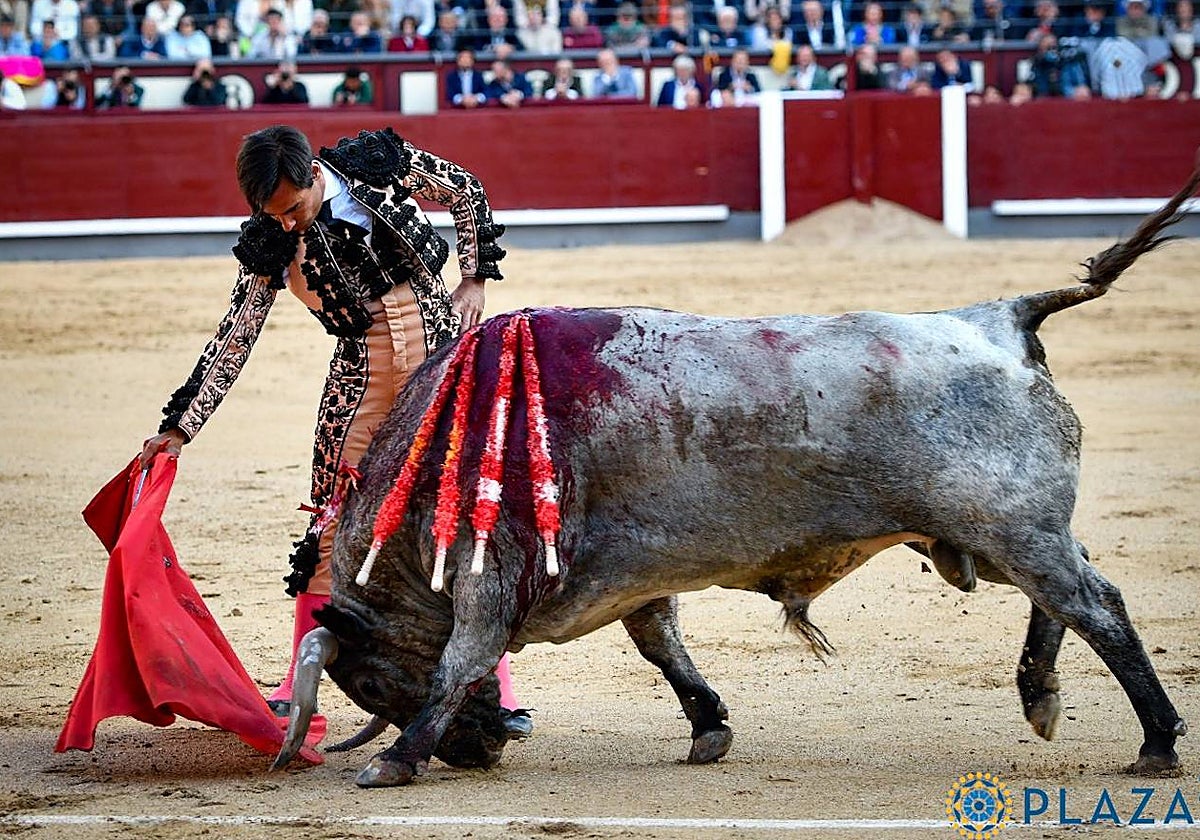Cartelero hace surcos con el hocico en la arena durante la faena de Góméz del PIlar