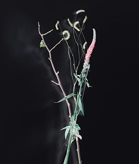 Imagen secundaria 2 - Algunas de las propuestas de la exposición 'Flowers and Rooms', deHütte, en la galería madrileña