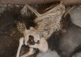Pompeya: hallados nuevos esqueletos de víctimas del Vesubio