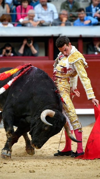 Fernando Adrián con el quito