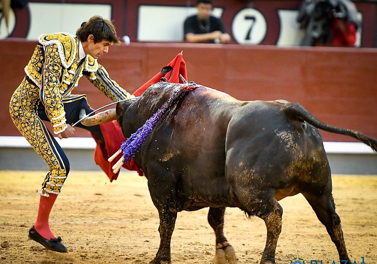 El sexto metiendo el pitón en el muslo de Castella