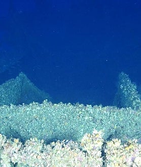 Imagen secundaria 2 - Imágenes de los pecios descubiertos y del arrecife Keith