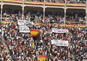 El toro es nuestro rey