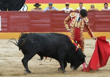 Chicharro, triunfador del Circuito de Novilladas de Madrid, promesa en firme