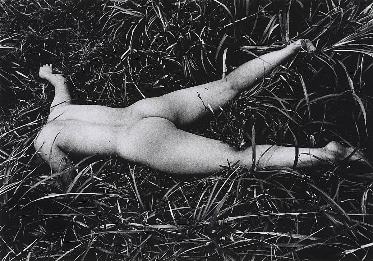 'Sin título', fotografía de Daido Moriyama