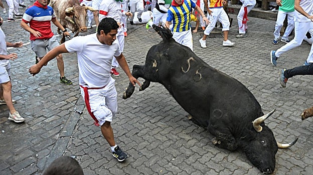 Los toros han sufrido numerosos resbalones durante la carrera