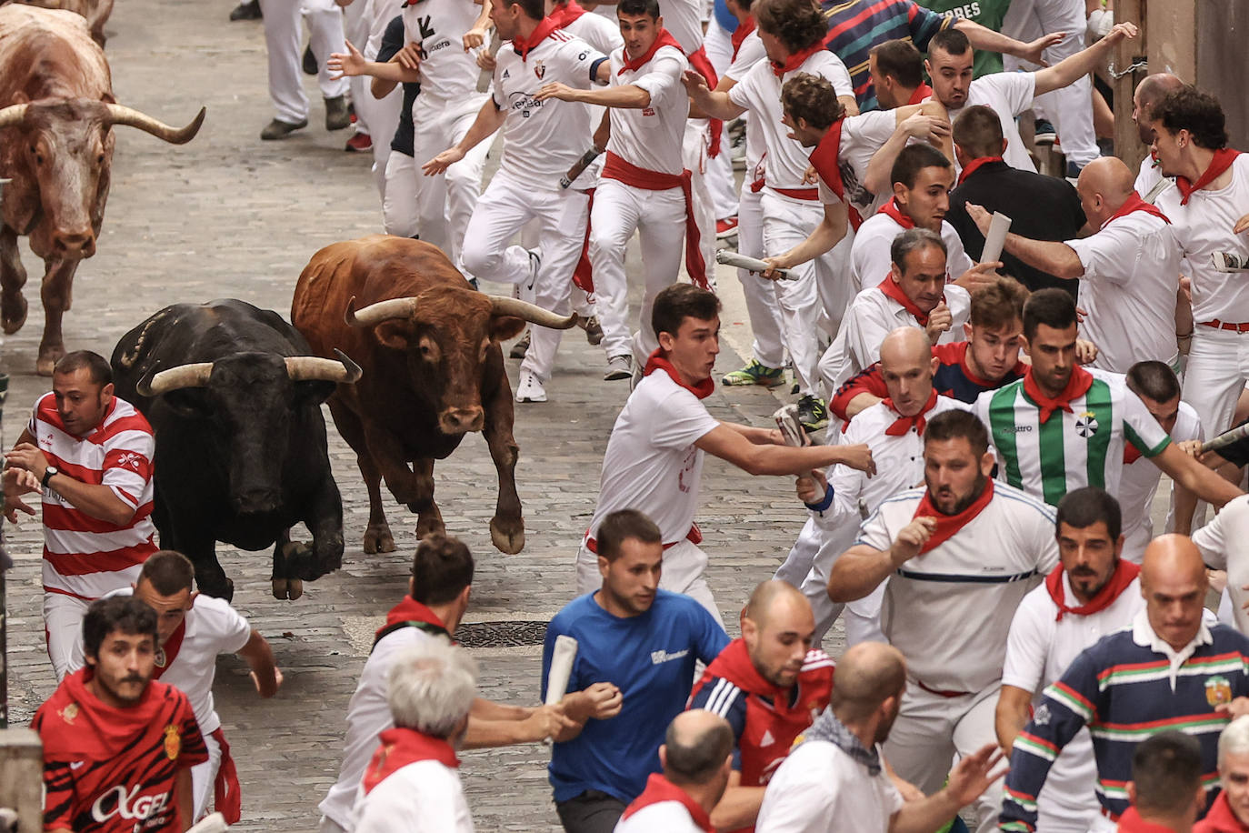 Los toros de la ganadería de Núñez del Cuvillo al final de la Cuesta de Santo Domingo durante el quinto encierro de los sanfermines 2023