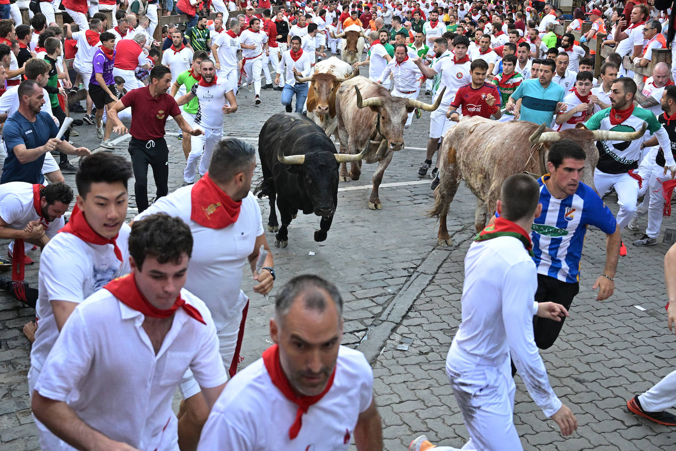 Los veloces toros de la ganadería de Jandilla, durante este sexto encierro de los sanfermines
