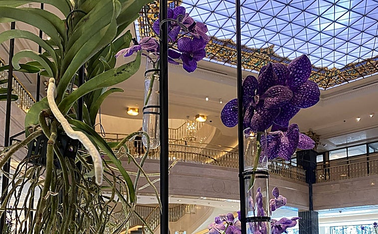 Imagen principal - De arriba abajo: las orquídeas sin tierra, la escultura de Kaws, una suerte de expulsión del paraíso, y el plumilla probando el diván de las grandes preocupaciones