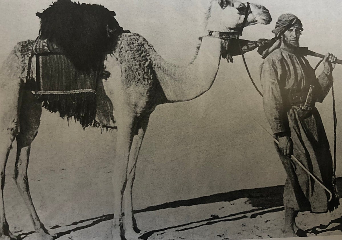 Thesiger con su medio de transporte por el Territorio Vacío