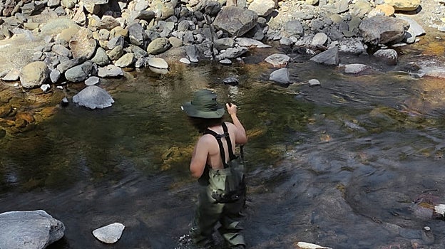 Trabajos de investigación de Moreno&Grau