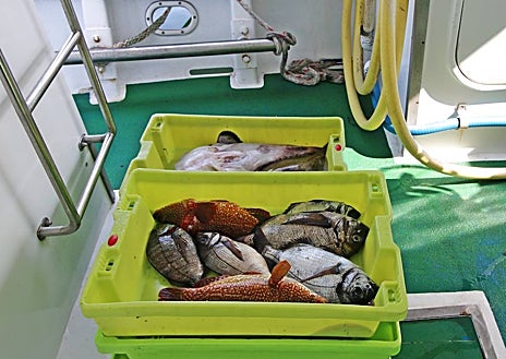 Imagen secundaria 1 - Una noche en... un pesquero: «Ya nadie quiere trabajar en el mar, la juventud prefiere estudiar»