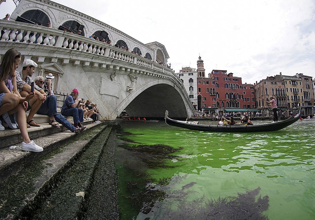 Una mancha de color verde en el Gran Canal cerca del Puente de Rialto, en Venecia