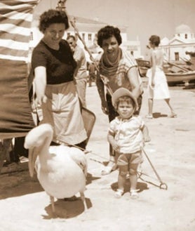 Imagen secundaria 2 - Petros, el pelícano de Mikonos y la inmortalidad