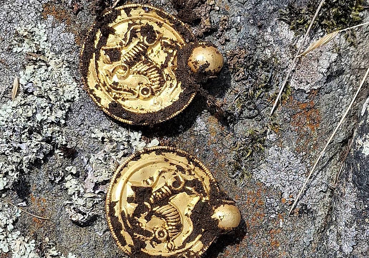 Medallones descubiertos en Noruega