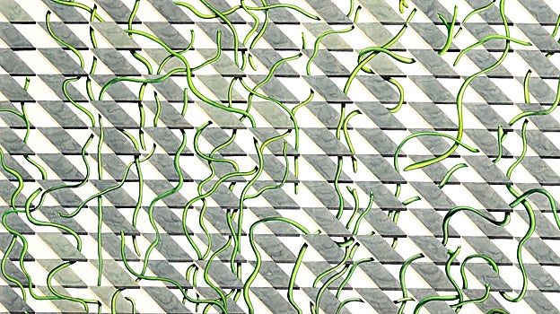 Detalle de 'ST III', de la muestra 'La Espera'. Pradiauto. 2022