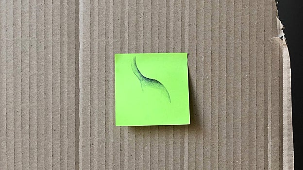 Elisa Pardo Puch: «Me interesa el resto y el desecho, lo que a veces es anecdótico pero que puede contar una historia»