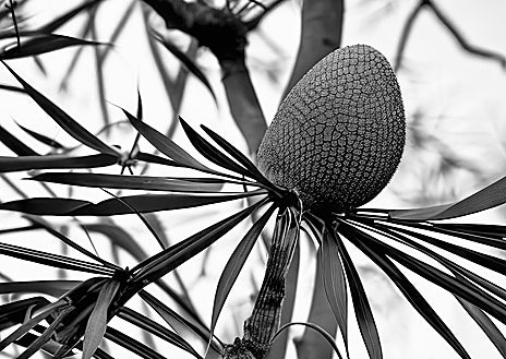 Imagen secundaria 1 - Arriba, una mujer contempla las obras de Patricia Dauder en ProjesteSD. Sobre estas líneas, obra de Joan Fontcuberta generada con IA en Àngels Barcelona y joyas funerarias de talco de Teresa Estapé en Chiquita Room