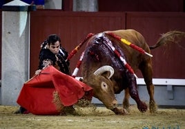 Para quitarse el Sombrero: un toro bravo en el concurso de feos en Las Ventas
