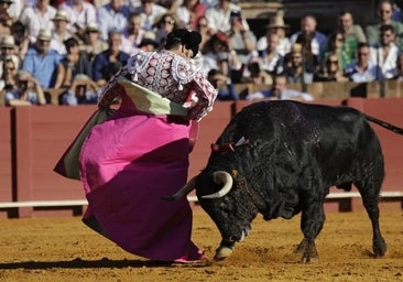 La incógnita de Morante: ¿qué será de la temporada 2024?