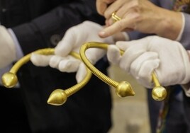 Un labrador halla dos torques de oro en Galicia  de la Edad del Hierro