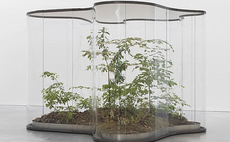 Imagen principal - Sobre estas líneas, 'Phasmides' (2012) y 'La Pensée Féral'. Arriba, 'A Transparent Leaf instead of the Mouth' (2016-2017)