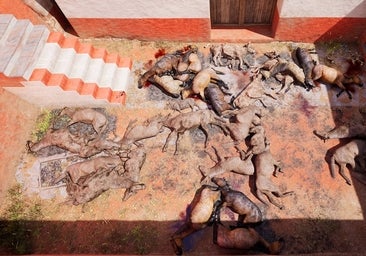 Desvelan un último sacrificio tartésico de los «liquidadores» en el patio del Turuñuelo