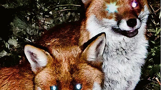 Feliz libro nuevo (del año que acaba)