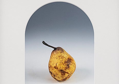 Imagen secundaria 1 - Arriba, 'Chest'. Sobre estas líneas, dos imágenes de la serie 'Putrido', de la artista lisboeta