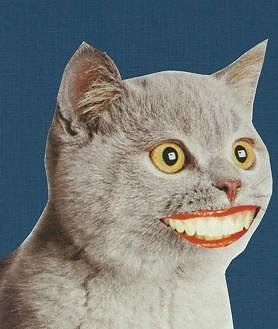 Imagen secundaria 2 - En la personalidad creativa de Wislawa Szymborska destaca también su colección de 'collages' de muy variados asuntos. Sobre estas líneas, tres ejemplos de esta suerte de poesía visual en la que también era maestra