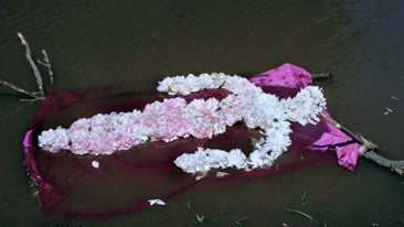 Ana Mendieta