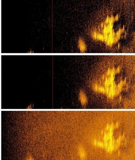 Imagen secundaria 2 - Varias imágenes de la misión de Deep Sea Vision que ha captado por sonar un objeto con forma de avión que se cree que es el Lockheed 10-E Electra de Amelia Earhart