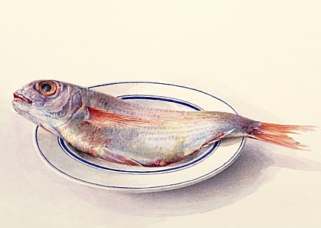 Imagen secundaria 1 - De arriba abajo, 'El jardín' (1966); 'Besugo' y autorretrato temprano de la pintora