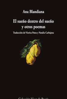 Imagen - 'El sueño dentro del sueño y otros poemas'