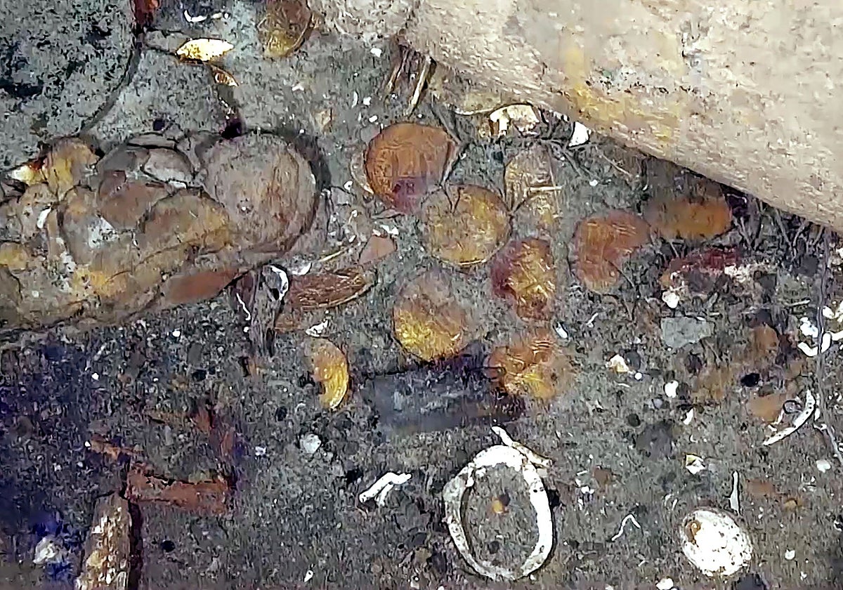 Restos del galeón San José