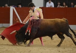 Jalaperras, un toro bravo que se ganó la vida en la tarde de María y Gonzalo Caballero