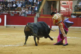 ¿Cuánto dinero cobra un torero por corrida? Sueldos en el sector taurino por categoría según el BOE