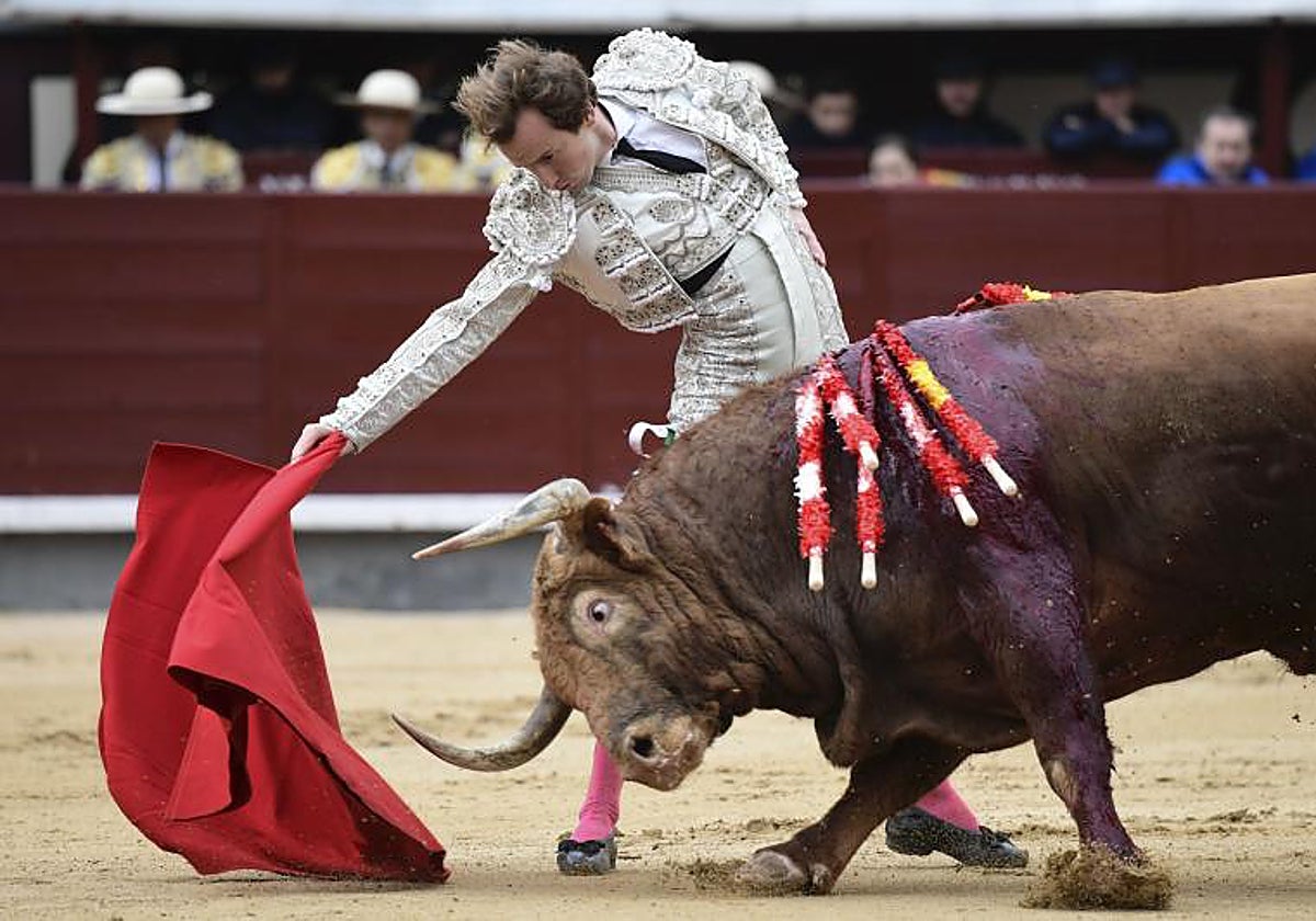 Román alarga la embestida de Buscadero, un gran toro de Pedraza al que cortó una oreja