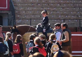 Imágenes de la visita de los colegios al ruedo de la Maestranza de Sevilla